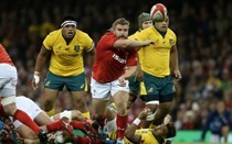 Francis features in Welsh win