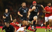 Tonga no match for the Welsh