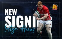 new signing announcement web banner.jpg