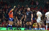 Francis sees yellow in Welsh win