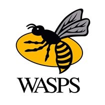 wasps square.jpg